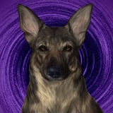 Telegram profile photo for в гостях у Чары