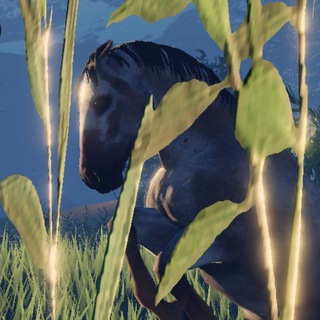 Telegram profile photo for Авито LCS:Equest