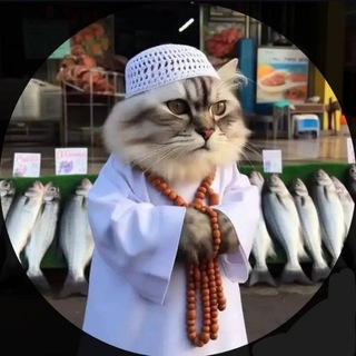 Telegram profile photo for بوستات جامده 🥰✌