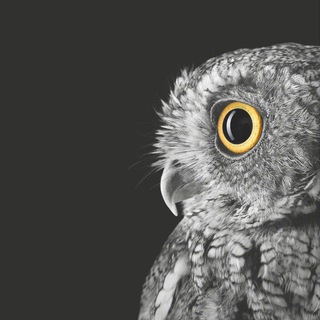 Telegram group profile photo for Олег Патлай | Сово-Сова