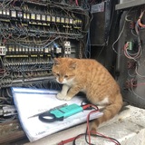 Telegram profile photo for Electronic.confession