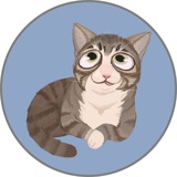 Telegram profile photo for $Wink Portal