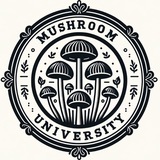 Telegram profile photo for Mushroom University/Грибной университет