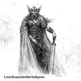 Telegram profile photo for ErwachenDerValkyren