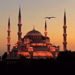Telegram profile photo for 🕋{گەشتێک بەناو ئیسلامدا}