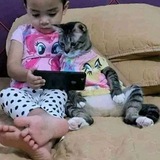 Telegram profile photo for بوستات مضحكه 😂