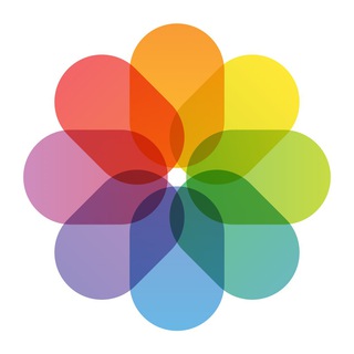 Telegram profile photo for Document
