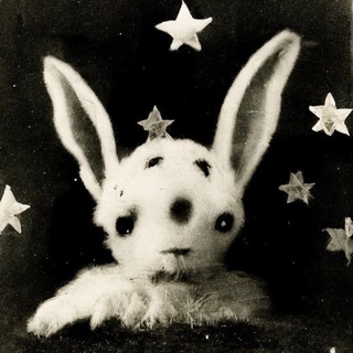 Telegram profile photo for vibug
