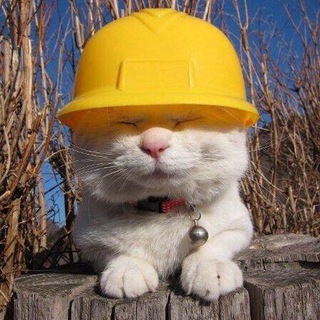 Telegram profile photo for Подсмотрено | Производство