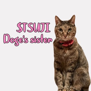 Telegram profile photo for Tsutsuji | Doge's sister - $TSUJI