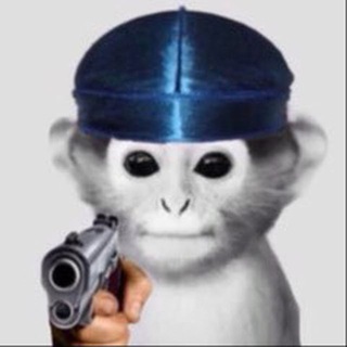Telegram profile photo for MONKE HOUSE | DOOR