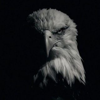 Telegram profile photo for دَجـم مَـاهِـر