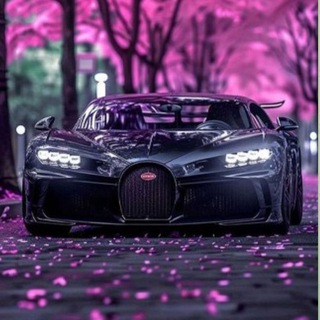 Telegram profile photo for 🚗سوپرگروهخریدوفروشخودرو🚗(قاسمی)