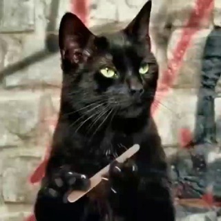 Telegram profile photo for БРЯНСКая Тапочка