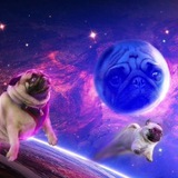 Telegram profile photo for Чичичичитать