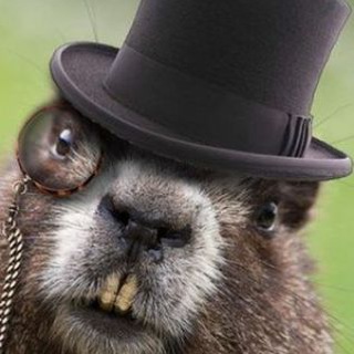 Telegram profile photo for Голосъ Мірово́го Бобра́🦫