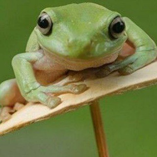 Telegram profile photo for Блог Владислава