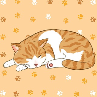 Telegram profile photo for O'Malley / Matt Furie's Cat / 0x8888