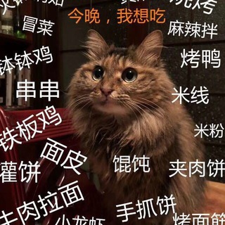Telegram profile photo for Kimo&Truffle‘s cattery