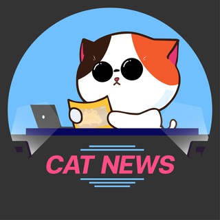 Telegram profile photo for 📢 Cat Alert 📢