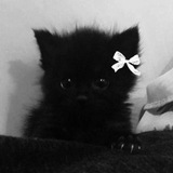 Telegram profile photo for Лилия 🎀