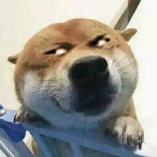 Telegram group profile photo for 狗推 狗代理 狗人事 狗客服