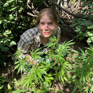 Telegram profile photo for ромашковый чай