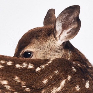Telegram profile photo for eternity.