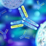 Telegram profile photo for Androgen-immunology