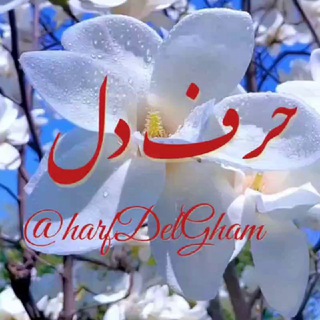 Telegram profile photo for حــرف دل