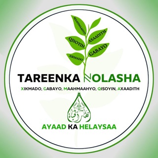 Telegram profile photo for TAREENKA NOLASHA