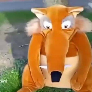 Telegram profile photo for Польское быдло