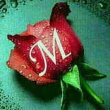 Telegram profile photo for میثاق عشقیم