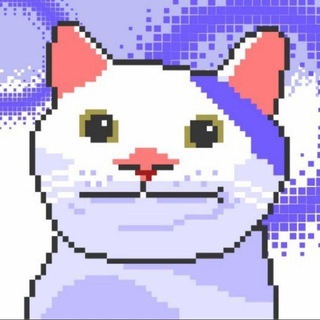 Telegram profile photo for SAFERUGGED CALL