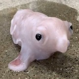 Telegram profile photo for щп айрички