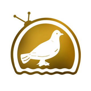 Telegram profile photo for Siasat TV Updates