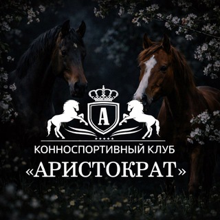 Telegram profile photo for КСК «Аристократ»