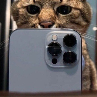 Telegram profile photo for ^$¡GmŰ😯😩😏😎