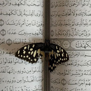 Telegram profile photo for أجر
