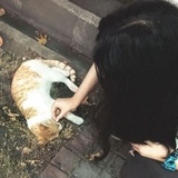 Telegram profile photo for 𝗠𝗲𝗼𝘄