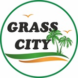 Telegram profile photo for GrassCity Co Ltd