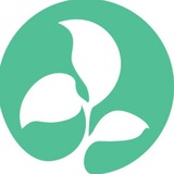 Telegram profile photo for 在菲生活🍀为你提供最便利的生活