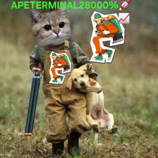 Telegram profile photo for Ape Terminal