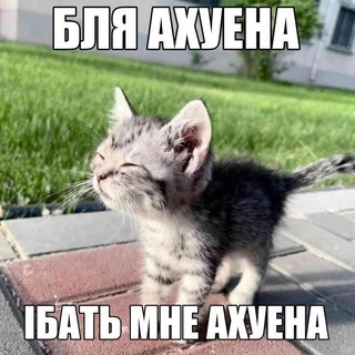 Telegram profile photo for Уолтерр