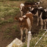 Telegram profile photo for Лукass