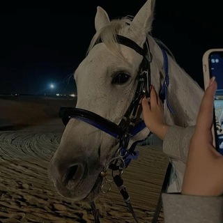 Telegram profile photo for ๐๐ข๐ ๐ซ๐๐ ๐๐ฅ๐๐ ๐ฉ