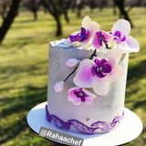 Telegram profile photo for ارشیوکدبانوهای ایرانم