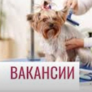 Telegram profile photo for Вакансии груминг