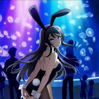 Telegram profile photo for Rascal Does Not Dream Of Bunny Girl Senpai : Seishun Buta Yarou wa Bunny Girl Senpai no Yume wo Minai