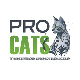 Telegram profile photo for PRO CATs